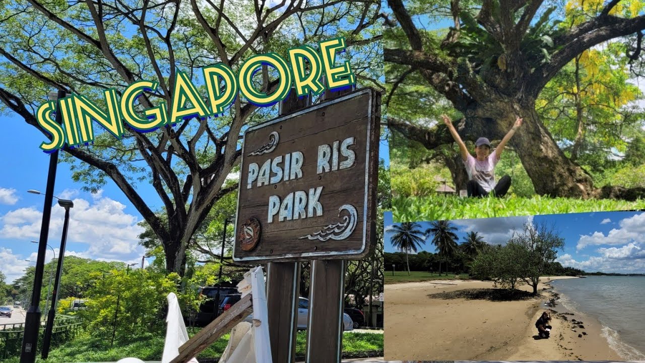 Exploring Pasir Ris Park, Singapore | Simply Ron