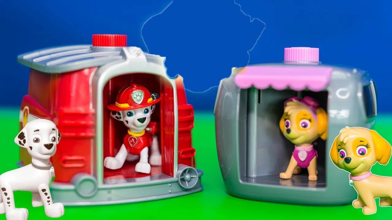 Exploring the Paw Patrol Marshall and Skye Pup to Hero Changers