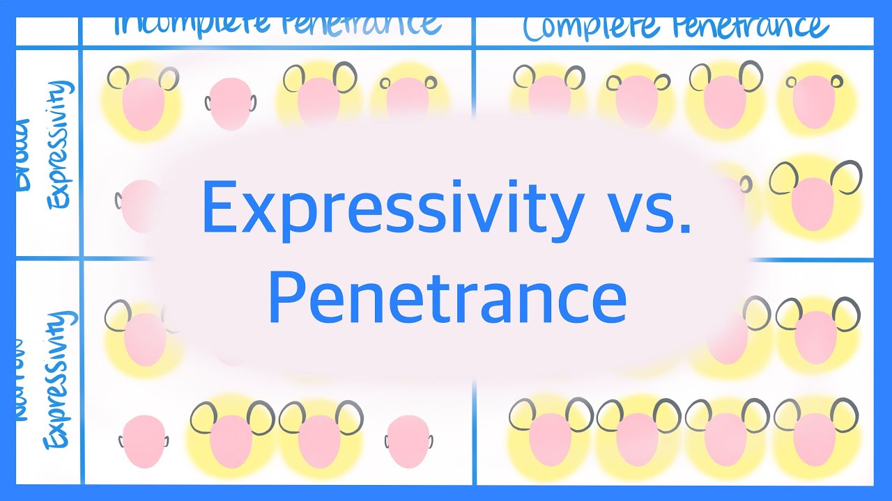Expressivity vs. Penetrance