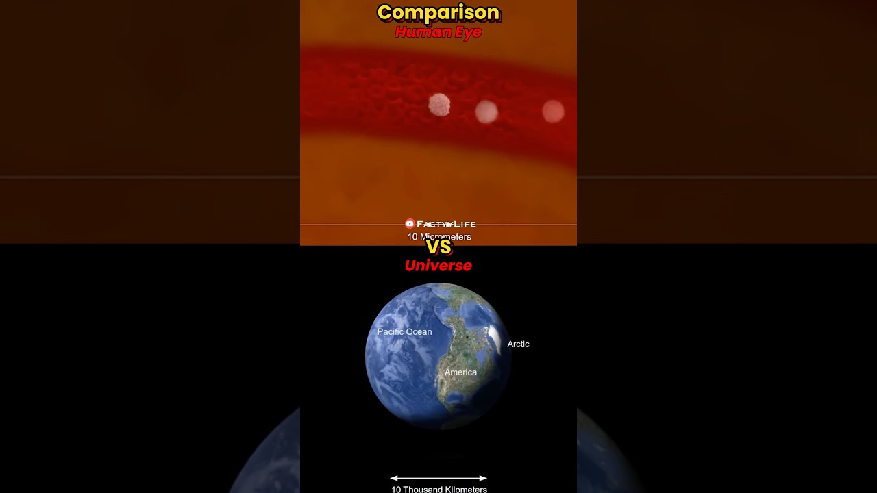 Eye Vs The Universe Zoom In/Out Comparison #space #universe #zoominzoomout