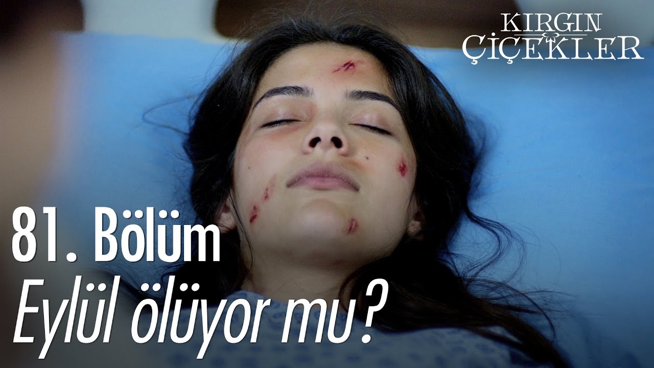 Eylül ölüyor mu? - Kırgın Çiçekler 81. Bölüm - atv