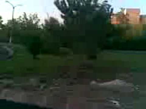 Eyupu almaya 07agsts 89/2