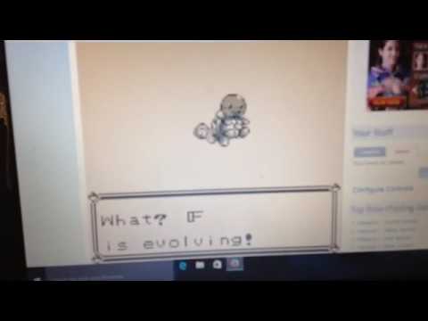[F turned into Wartortle