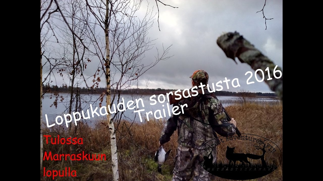 FA: 4/ 2016 Loppusyksyn Sorsastusta | Trailer