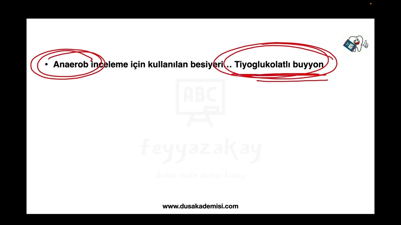 FA DUS MİKRO SPOT TEKRAR