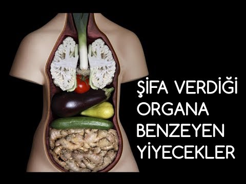 ŞİFA VERDİĞİ ORGANA BENZEYEN YİYECEKLER