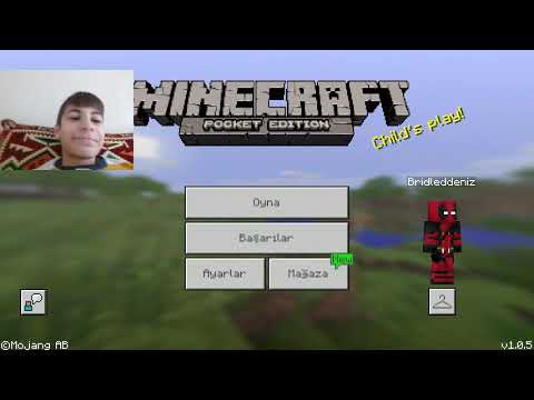 Facecam ile video