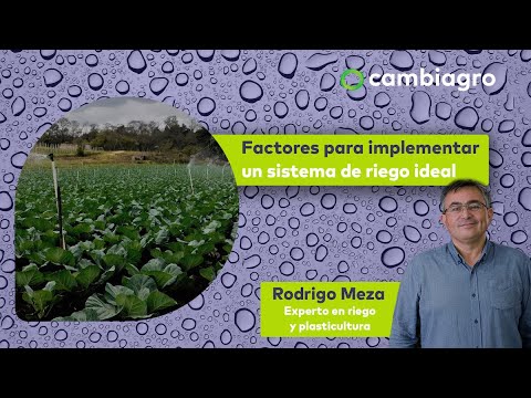 Factores para implementar un sistema de riego ideal