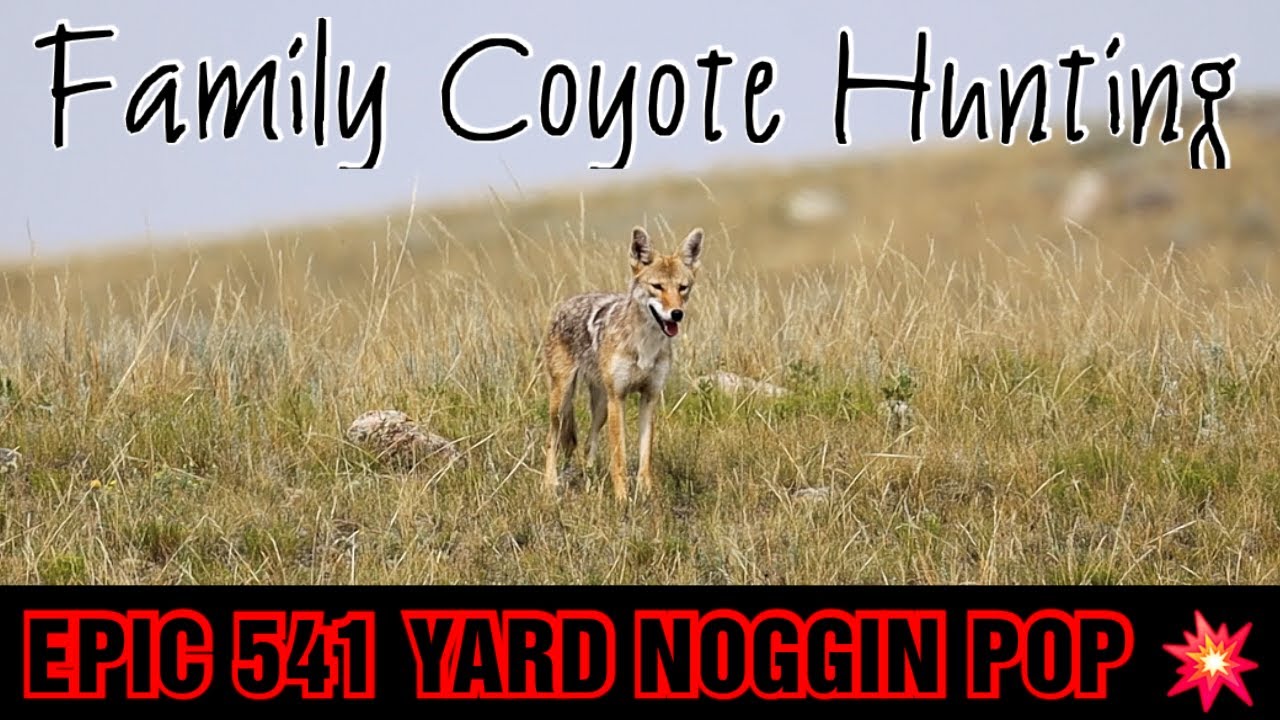 Family Coyote Hunting | Episode 2 | LONG RANGE HUNTS | 7 COYOTES DOWN | 2024