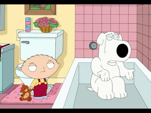 Family Guy -Who makes Brian cry?