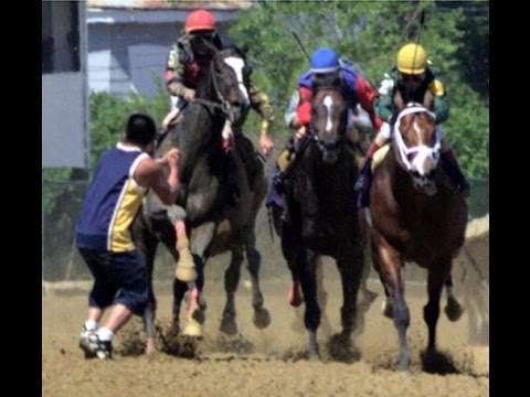 Fan Attempts To Punch Racehorse