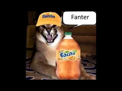 Fanter