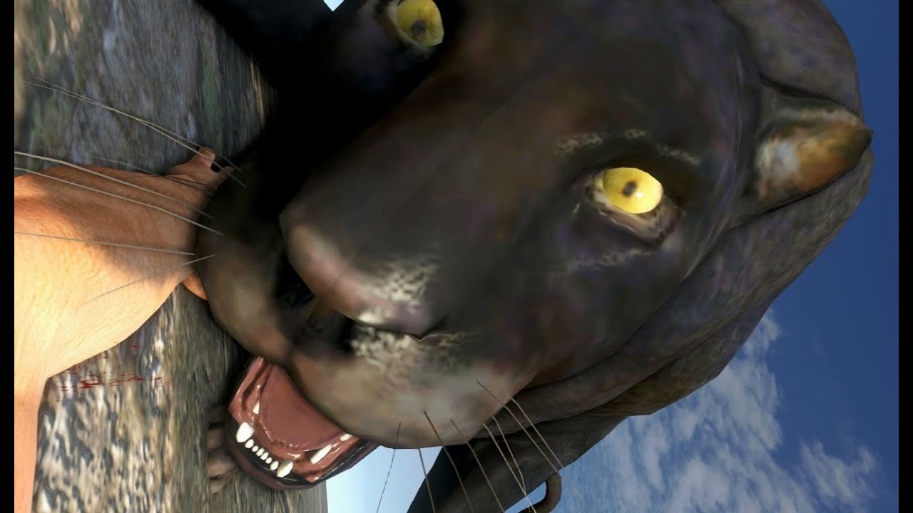 Far Cry 3 Slow Motion Animal Attacks