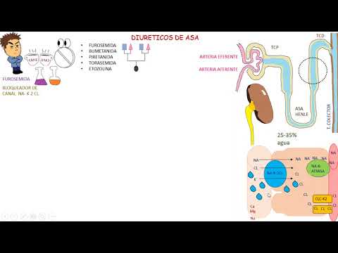 FARMACOLOGIA: Furosemida, Diureticos de ASA