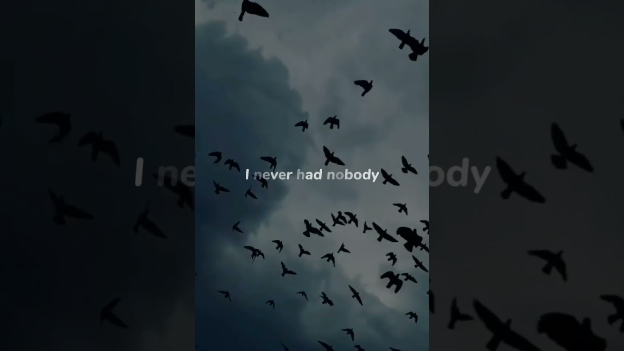 Faseya - Someone To You (feat. Shalom Margaret) English song Whatsapp status