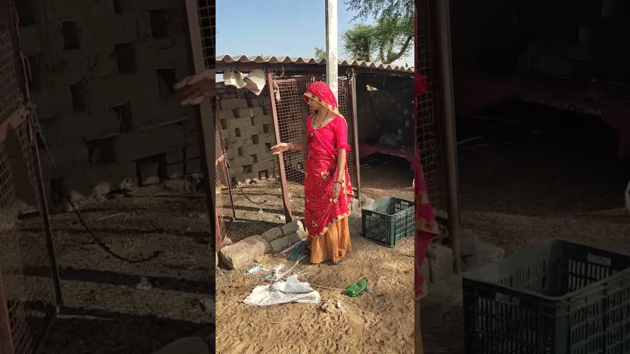 fast....#shorts #short #india #farmer #girl #village #subscribe #world #india #hen #rooster #viral
