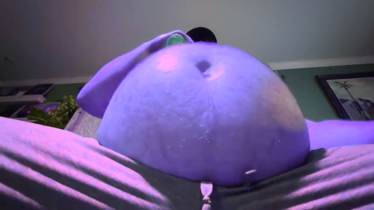 Fat Man Belly round blueberry