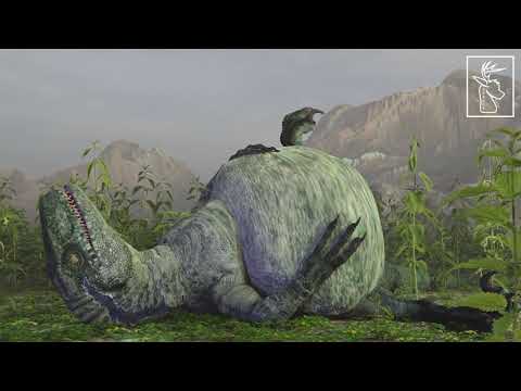 Fat Raptor