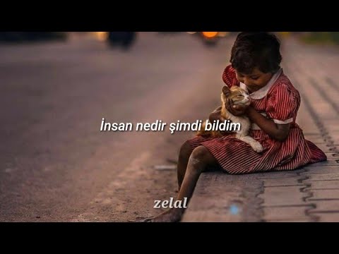 fazıl say - insan insan(muhyiddin abdal) sözleri