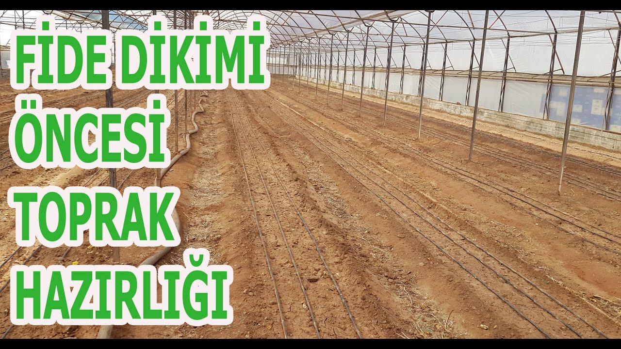 FİDE DİKİMİ ÖNCESİ TOPRAK HAZIRLIĞI NASIL YAPILMALIDIR?