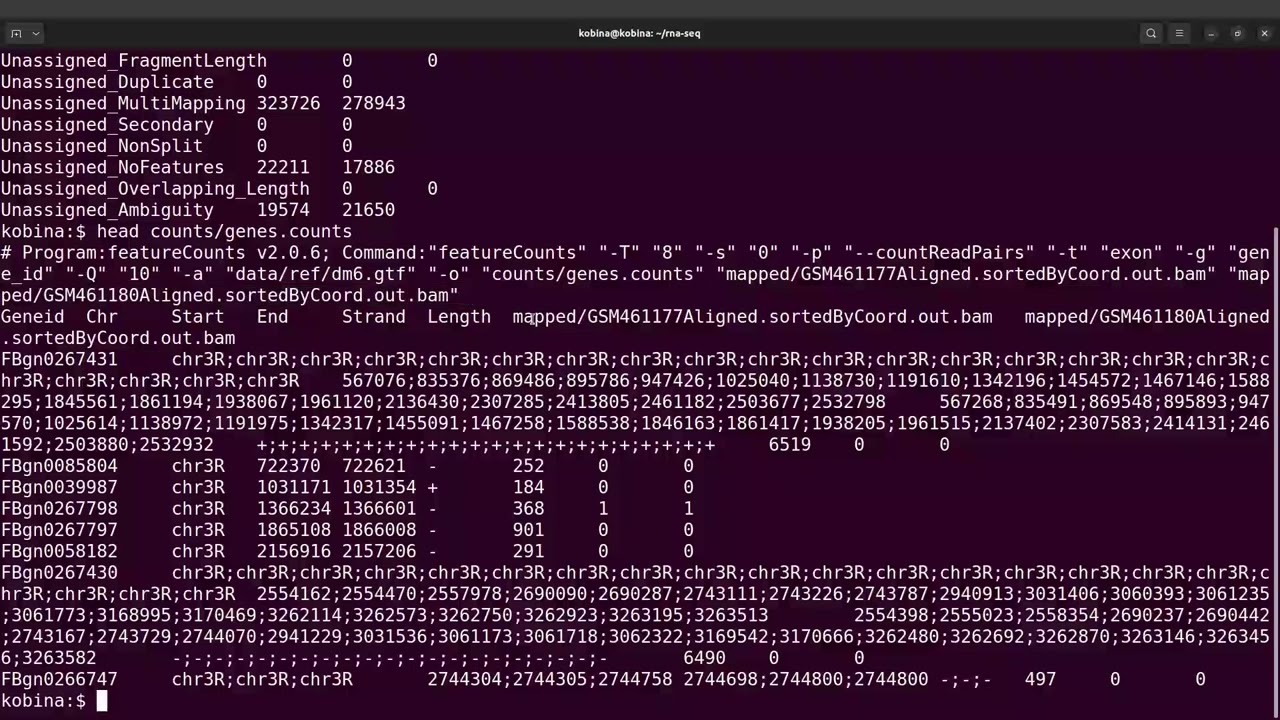 featurecount on multiple bam files