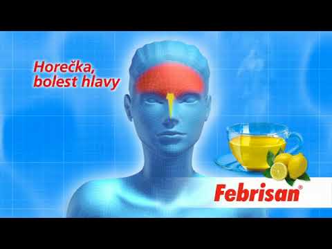 Febrisan   Kancelář