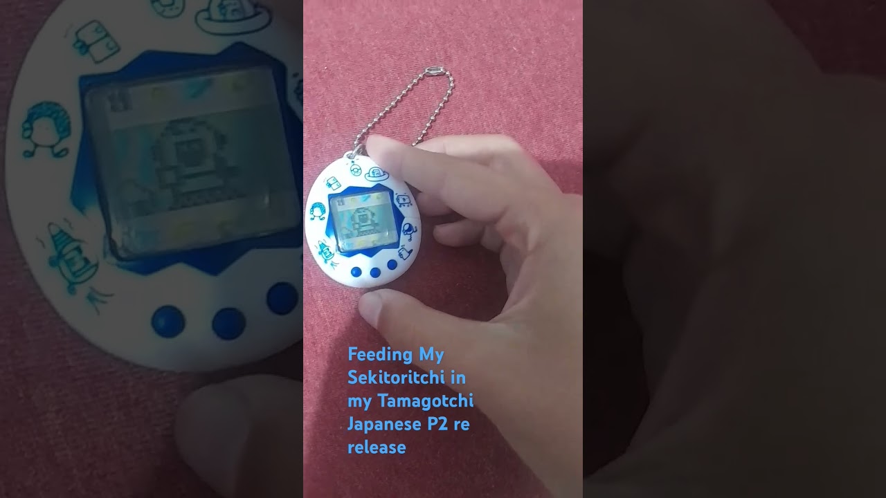 feeding My Sekitoritchi in my Tamagotchi Japanese P2 re release  #tamagotchi #originaltamagotchi