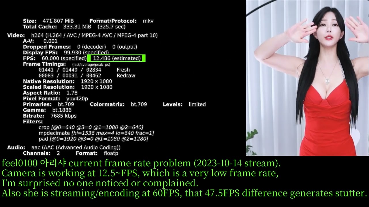 feel0100 아리샤 current frame rate problem (2023-10-14 stream)