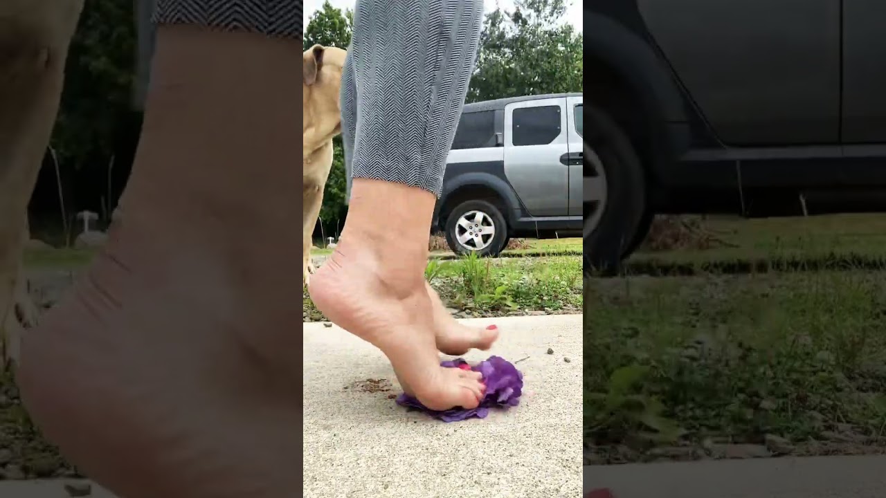 Feetcrush, flower | ASMR & CRUSHING