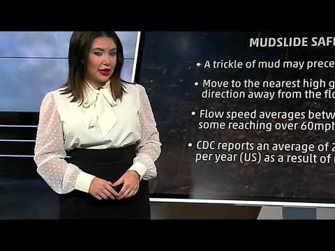 Felicia Combs - 102321 Tight Black Skirt - Weather Channel - Rear View - Easy On The Eyes
