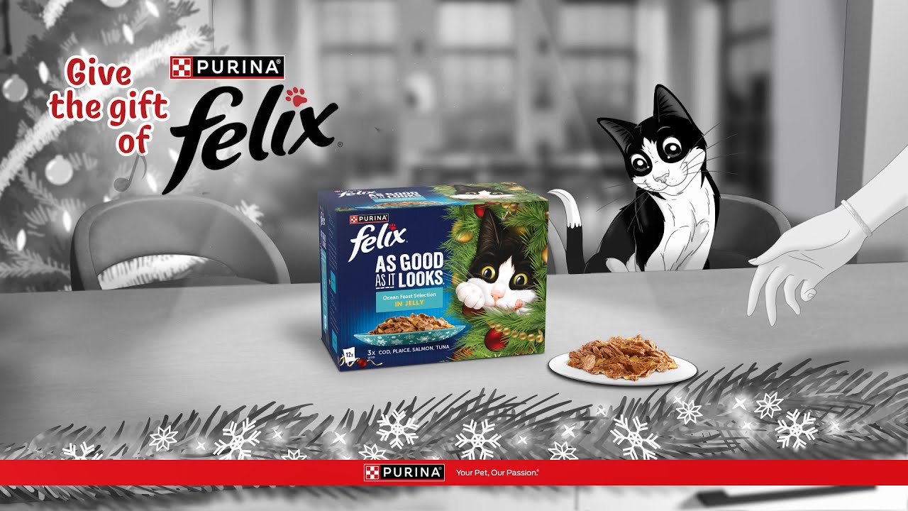 Felix - It's great to be a cat at Christmas!
