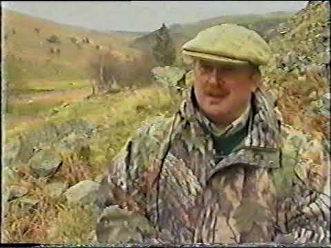Fell And Moorland Working Terrier Club Full Film