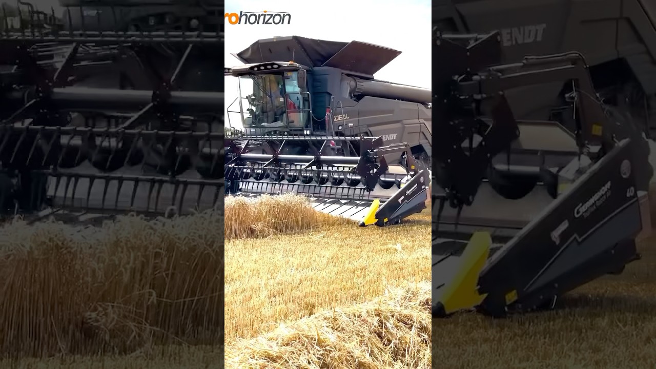 FENDT 10T IdealDrive combine harvester in a field of wheat