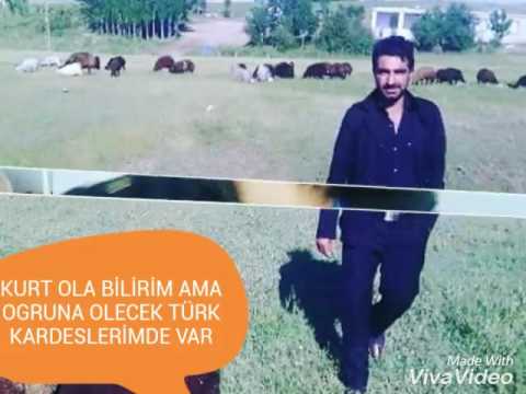Ferdi Demirtaş