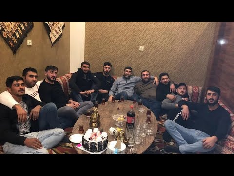 Ferid Ehmedzade Hörmetli İmir kedi 2022