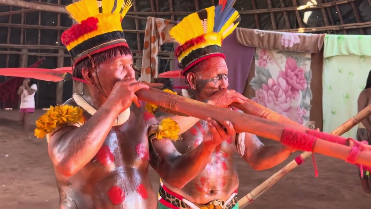 Festa kuarup da aldeia ipatse kuikuro 2024