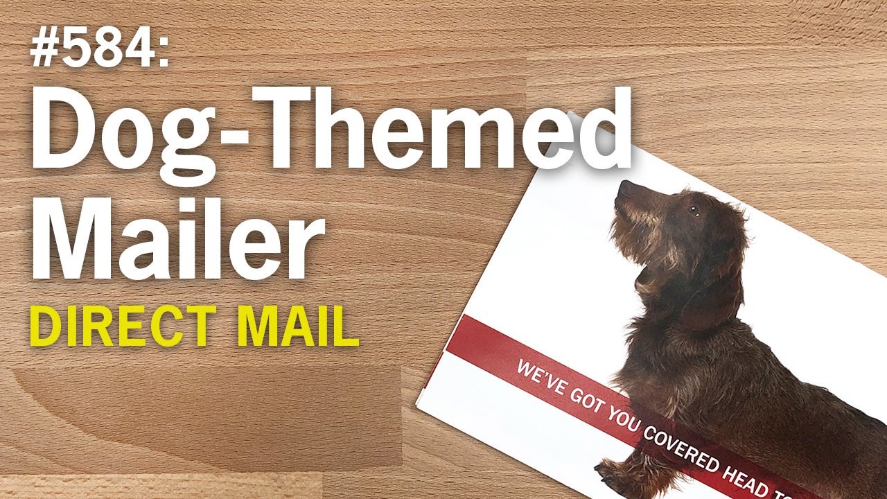“Fetching” Dog-Themed Coupon Mailer – FOW #584