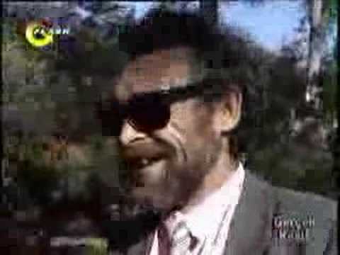 fidan kırılıyor - gerçek kesit