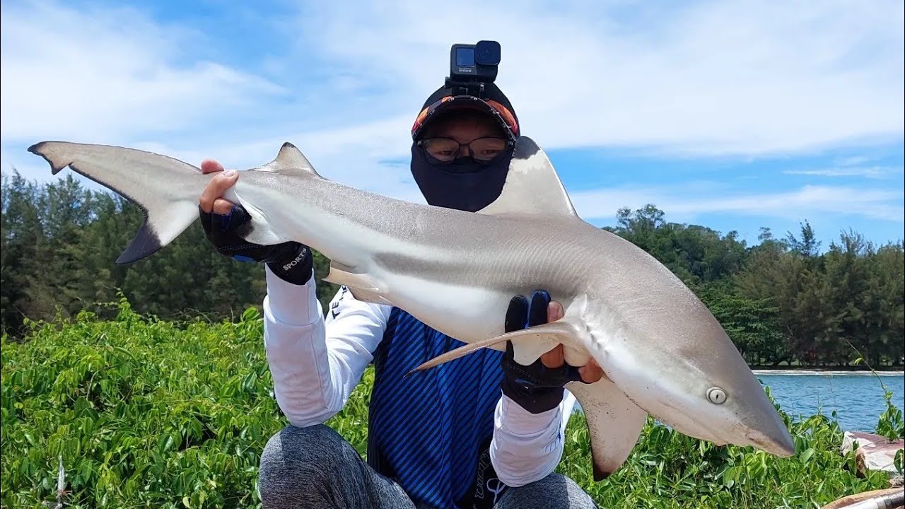 Field Test Pioneer Tackle 2022 Edition; Infinia Plus XE Reel & Infinia Prestige Plus 121X Super PE