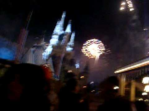 Fin de año 2008 Disney Magic Kingdom