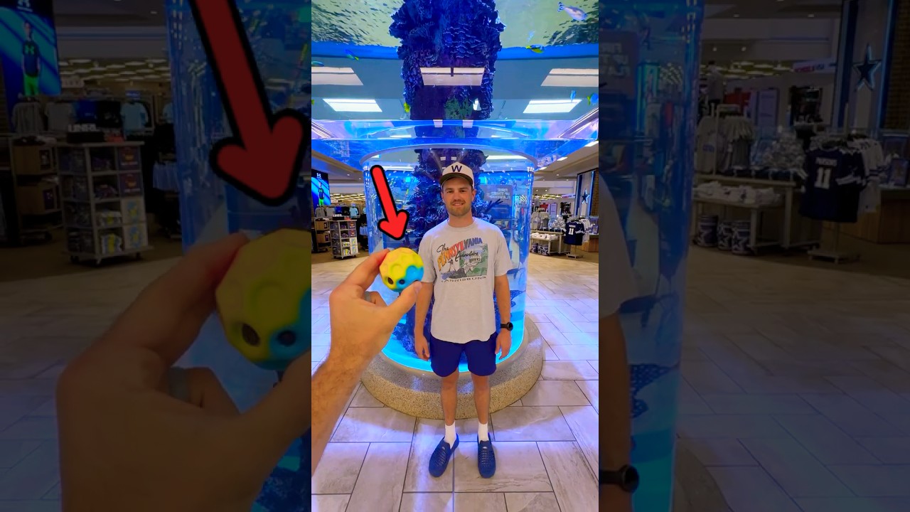 find the ball