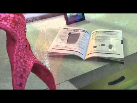 finding nemo - the tank is clean