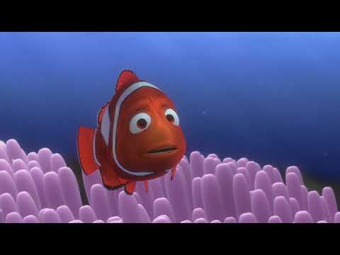 Finding Nemo Barracuda Attacks Scene