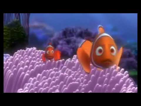 Finding Nemo Barracuda Normal, Fast and Slow Original Slow 4x