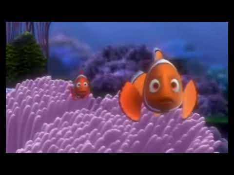 Finding Nemo Barracuda Normal, Fast and Slow Original Slow