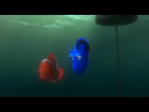 Finding Nemo: if it wasn't for you...