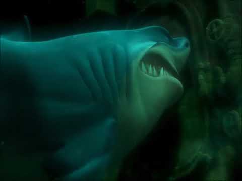 Finding Nemo: I'm Having Fish Tonight! (Canadian French)