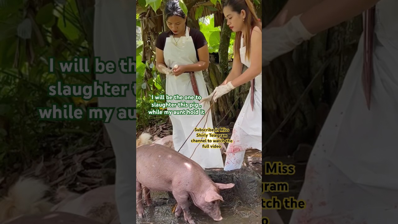 First time slaughtering a Pig with Miss Shirly