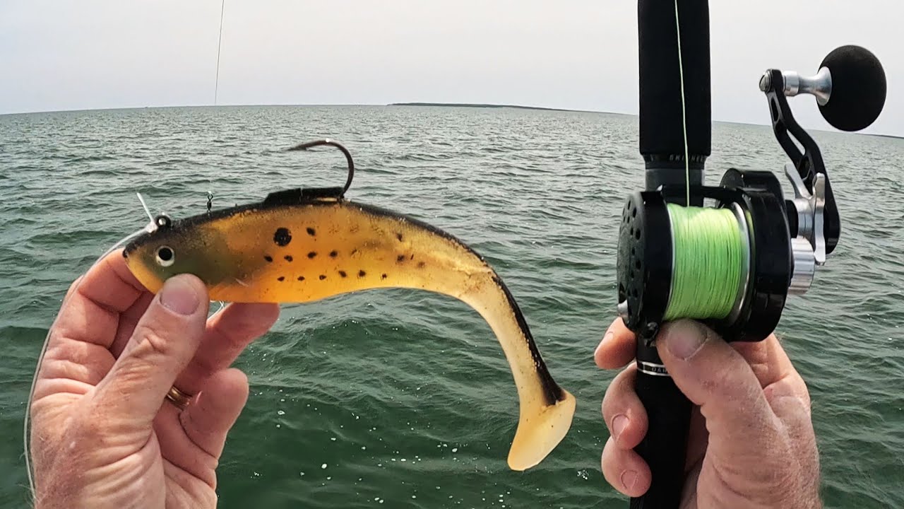 Fish Crushed This Bucktail Alternative - Wish I'd Tried it Sooner!