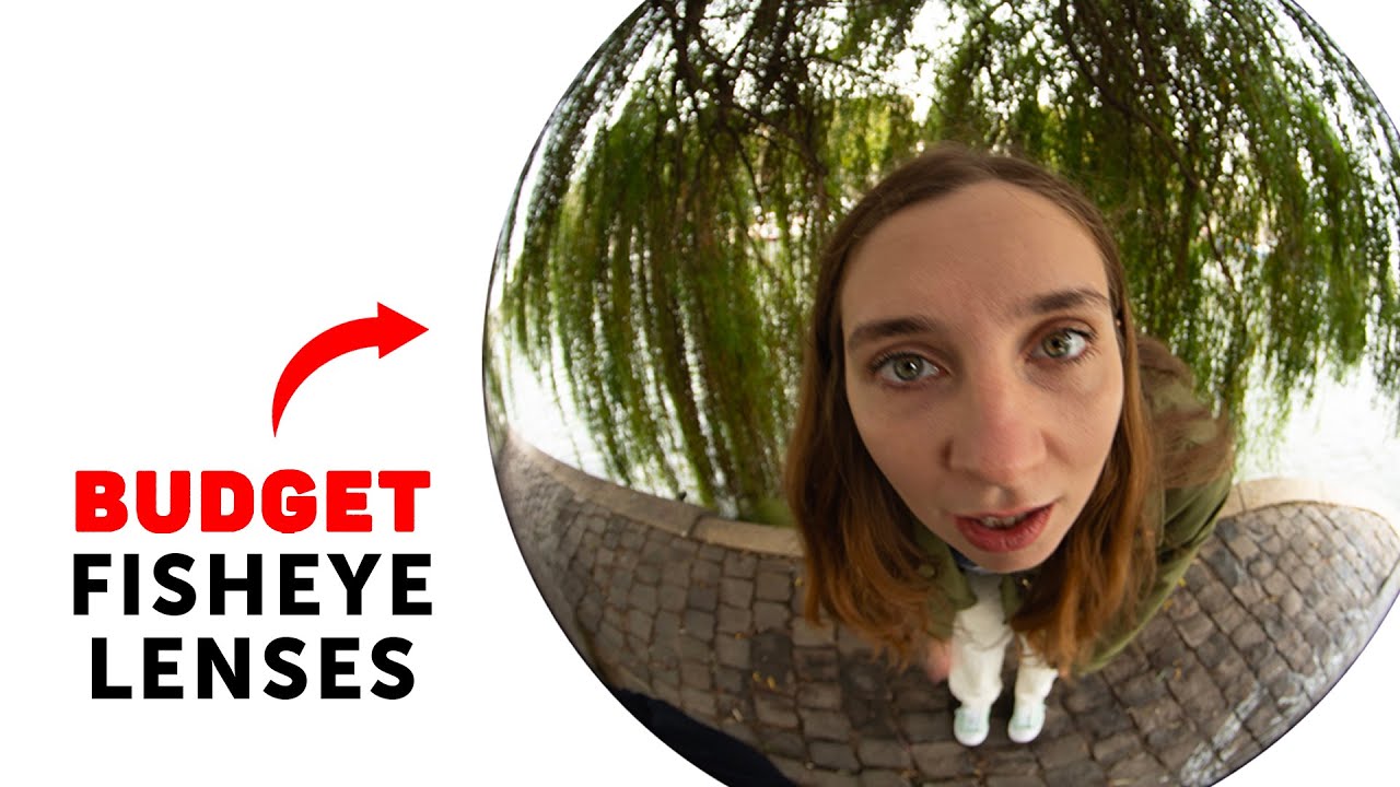 Fisheye Lenses: The Good, the Bad, and the Best